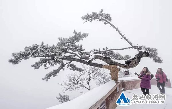 蓟州地区喜迎初雪 披上了银装的盘山美如画