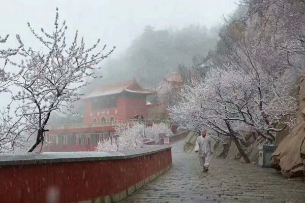盘山寺庙虔诚的佛教徒漫步细雪中